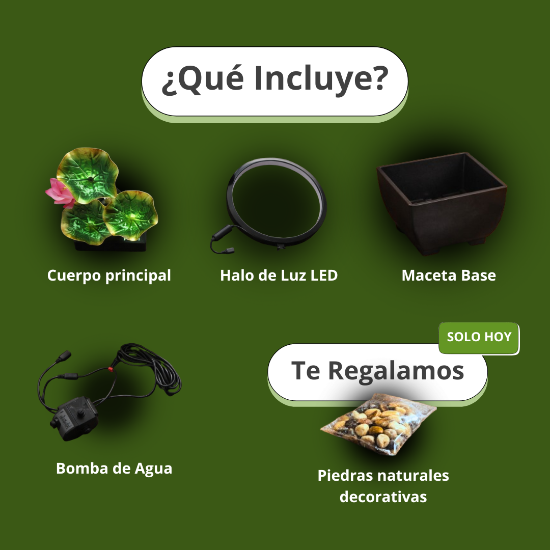 Fuente de Agua Iluminada