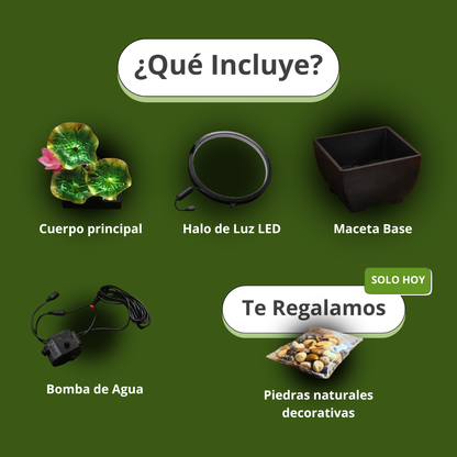 Fuente de Agua Iluminada