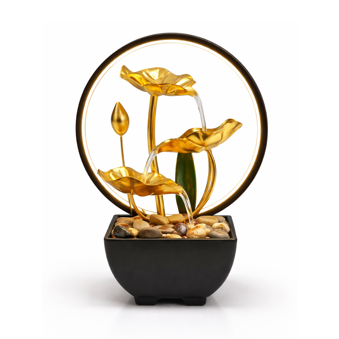 Fuente de Agua Iluminada